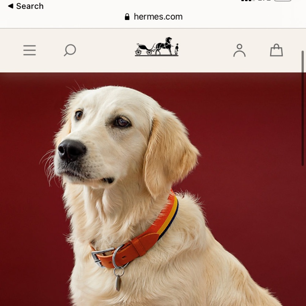 Hermès Rocabar II Dog Collar